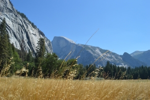 Yosemite NP, CA                      